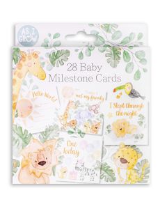 Hugs & Kisses Baby Milestone Moment Cards 28 Pack