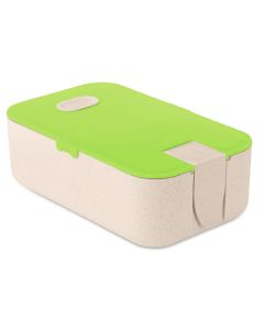 Wheat Straw Pp Green & Beige Lunch Box With Phone Stand