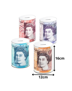 Sterling Money Tins Medium Assorted 12cm X 16cm